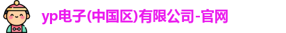 yp电子